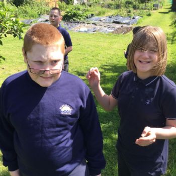 Beckenham allotment trip (3)
